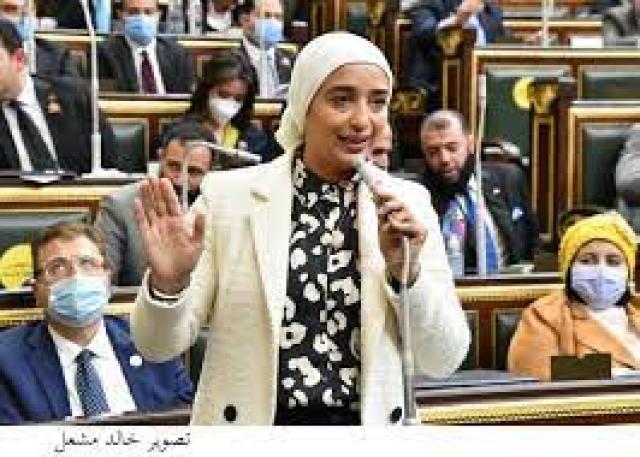 النائبة أميرة أبوشقة عضو مجلس النواب