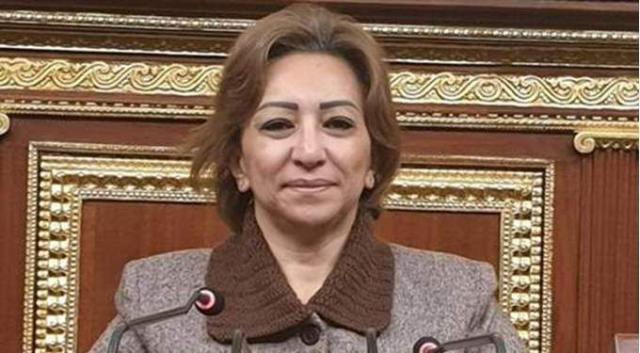 مها عبد الناصر عضو مجلس النواب