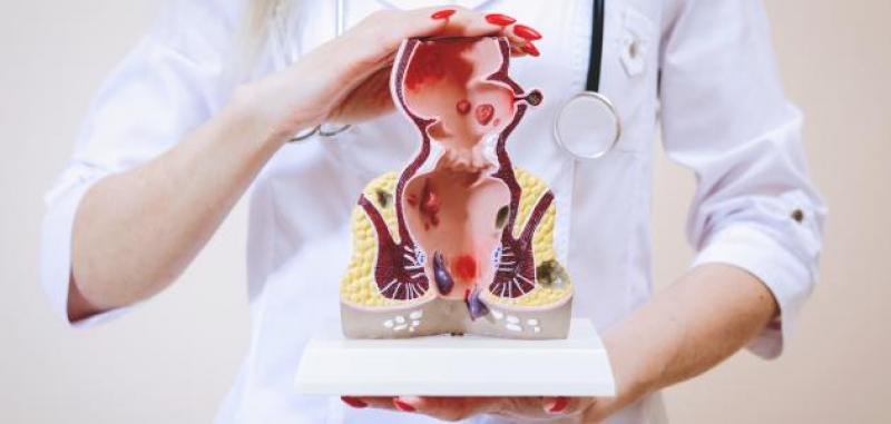 بوابة النائبات